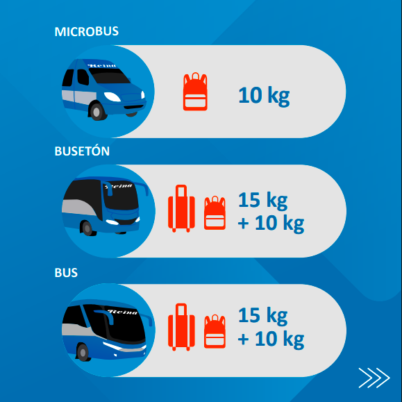 politica equipaje reina 2